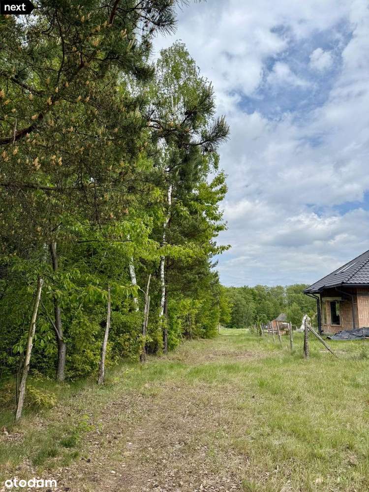 15,2ar bud przy lesie Pogórska Wola - Pełny obrazek: 4/4