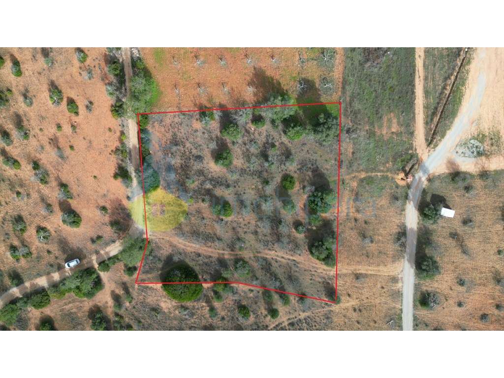 Terreno Rústico com 3730m2 em Guia, Albufeira - Grande imagem: 2/12