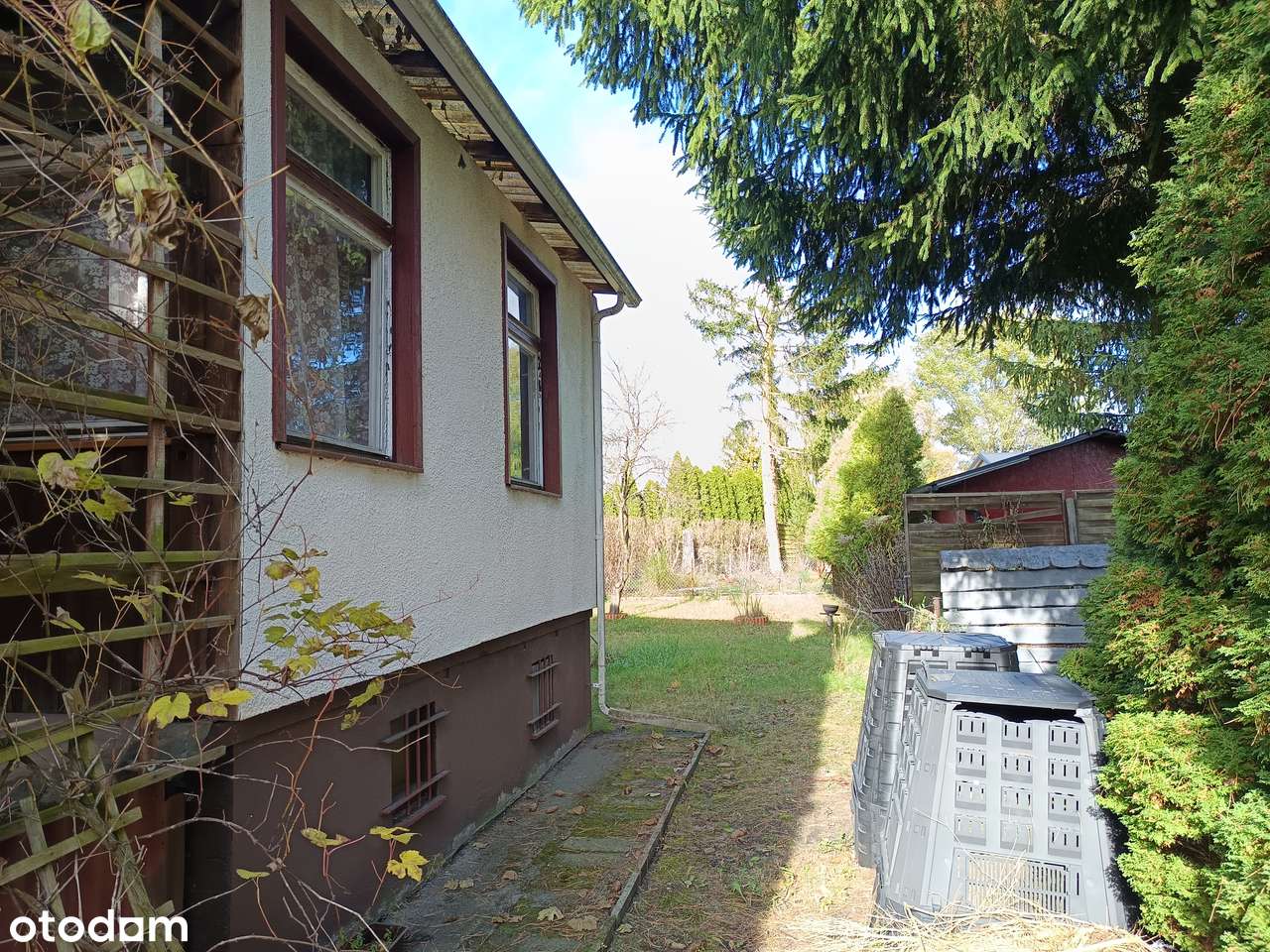 Działka ROD Wodnik Drzewce z domkiem 70m2 bez pośredników - Pełny obrazek: 5/20