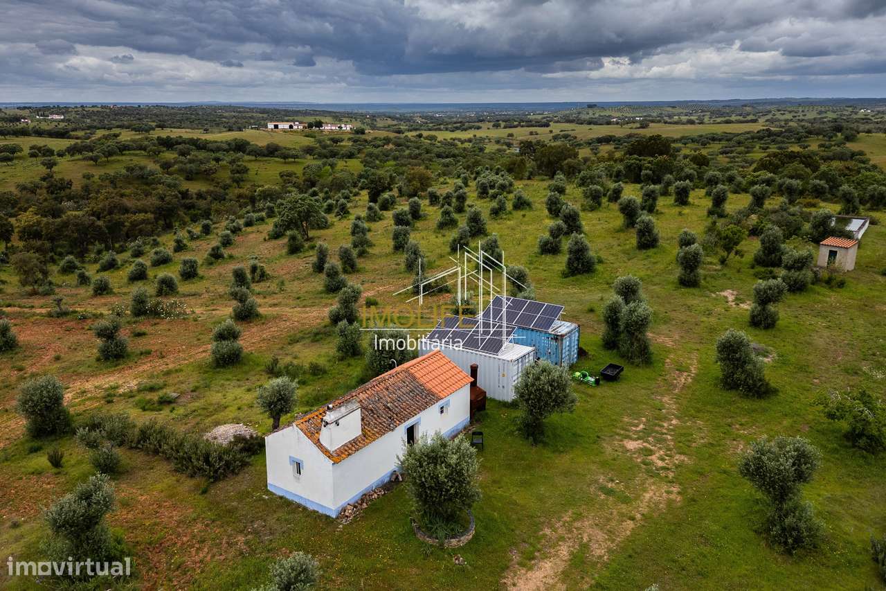 MONTINHO DO CHIADO - MALARRANHA - PAVIA - Grande imagem: 2/60