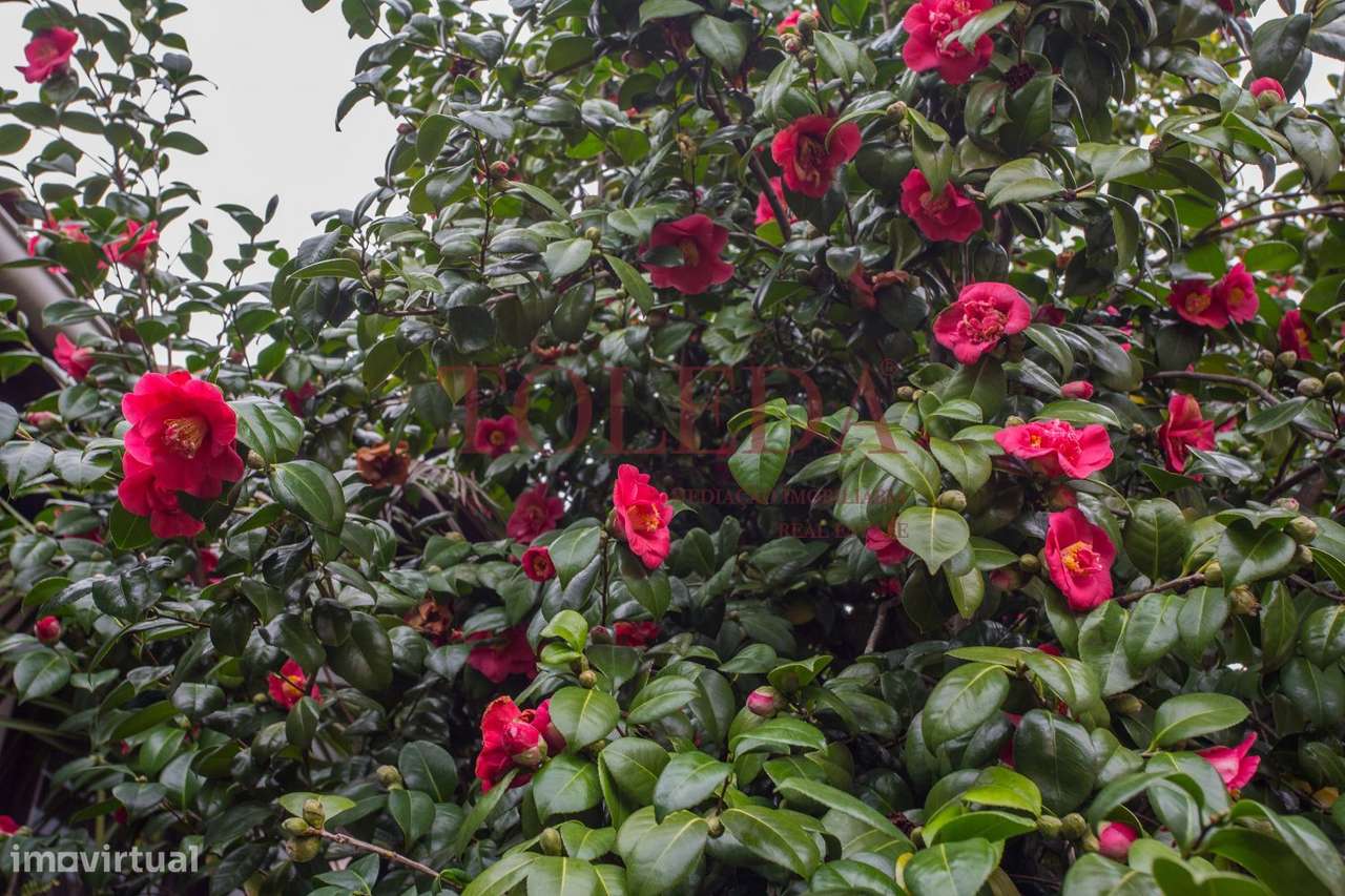 Moradia T7 em Almeirim-53