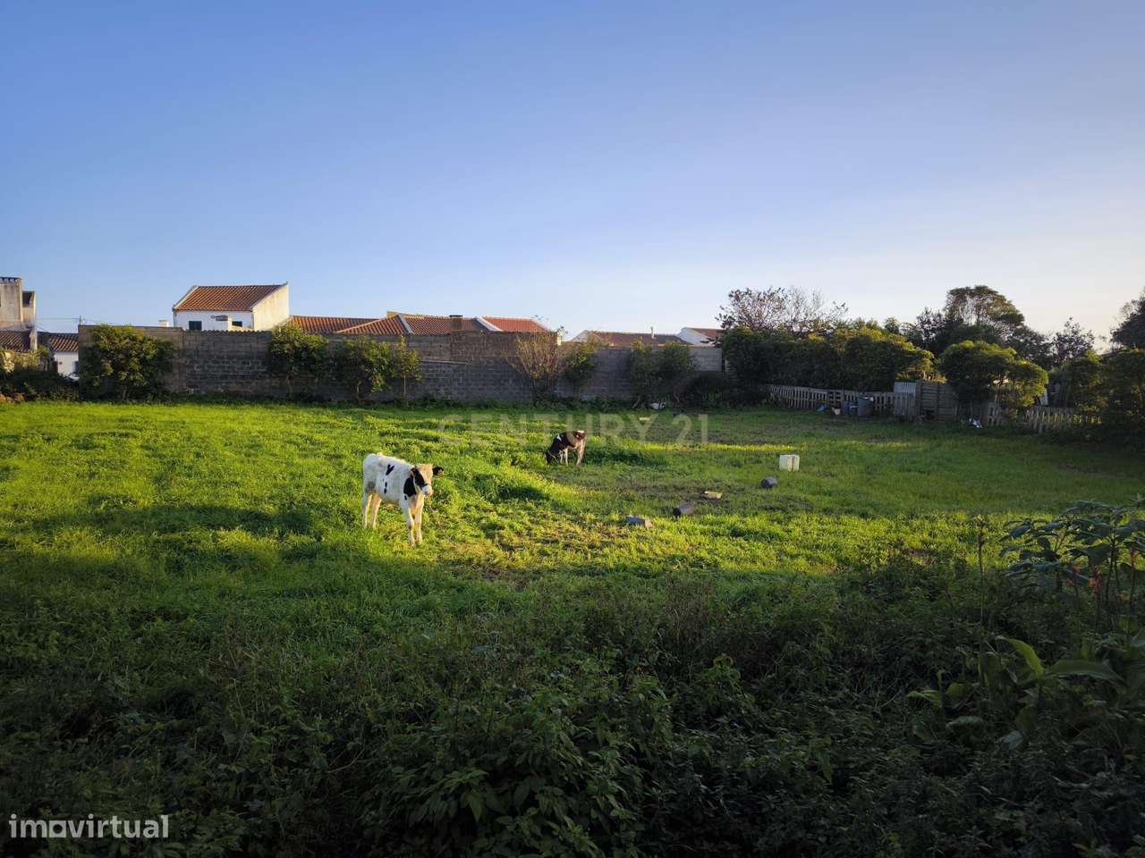 Terreno com 1 920m2, situado em Santa Cruz Lagoa - Grande imagem: 3/9