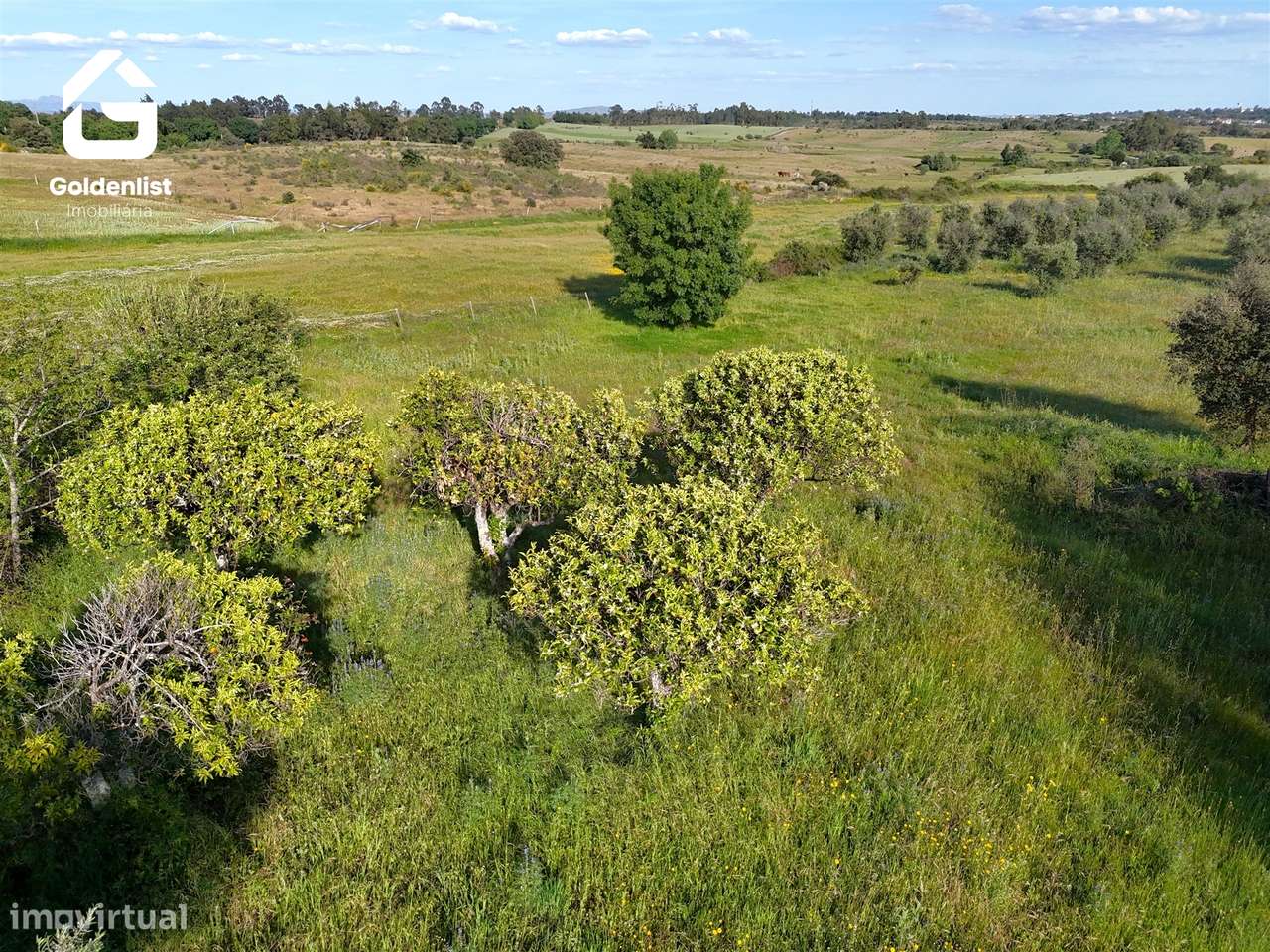 Quintinha  Venda em Escalos de Cima e Lousa,Castelo Branco-11