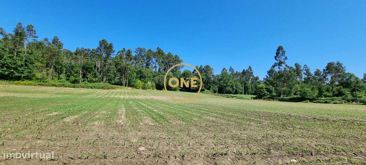 Terreno Rústico em Carreira, Santo Tirso - Grande imagem: 3/8