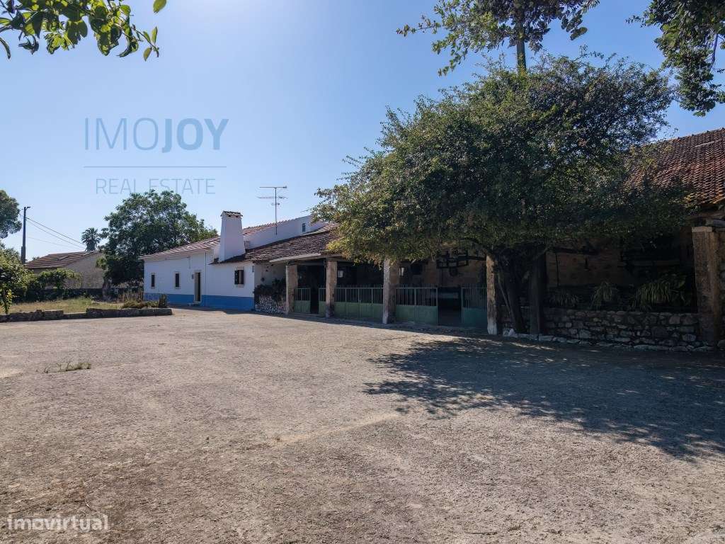 Quinta de 3 Hectares para Venda em Alcanede, Santarém - Grande imagem: 4/42