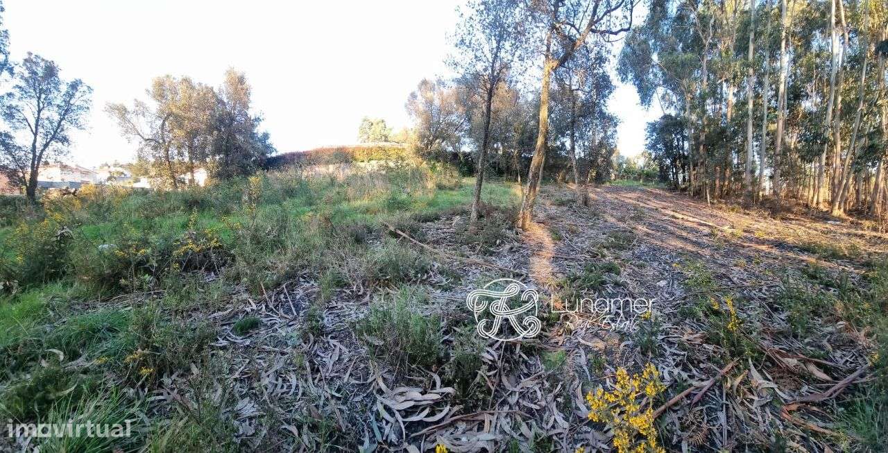 Terreno Urbano em Lousado - Grande imagem: 2/5