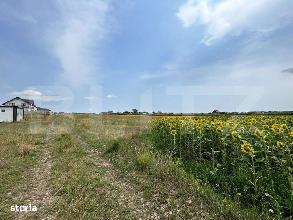 Parcele de 770 mp , drum privat 7m , zona rezidentiala Moara - Imagine principală: 1/1