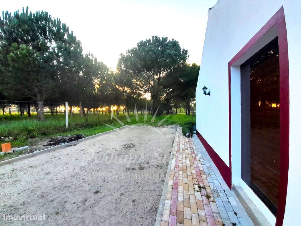 Quintinha V3 - Grande imagem: 4/32