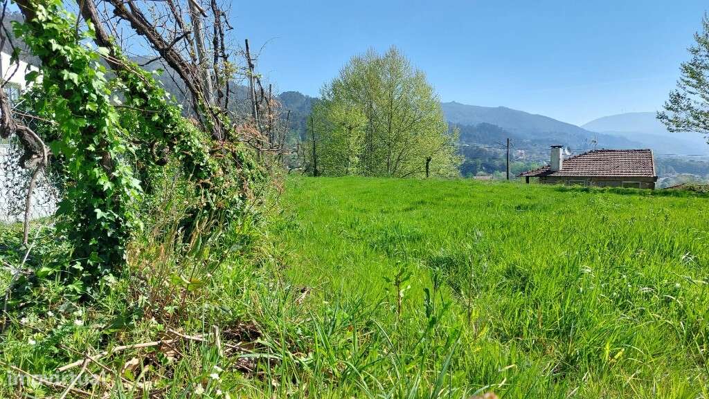 Terreno c/ viabilidade construtiva - Eira Vedra-4