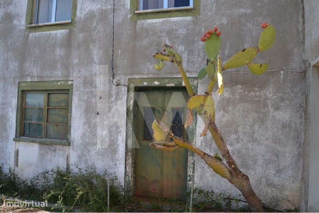 Herdade com cerca de 50ha em zona de Regadio do Ladoeiro Idanha a Nova - Grande imagem: 5/60