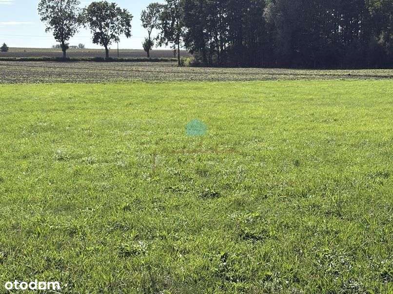 Grunt pod inwestycje Owieczki gm. Łubowo-10