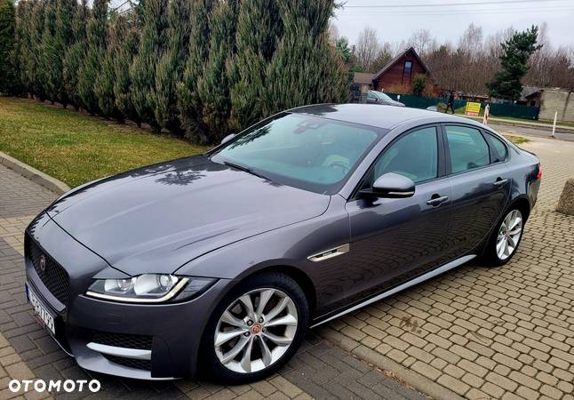 Jaguar XF 2.0 i4D AWD R-Sport - 4