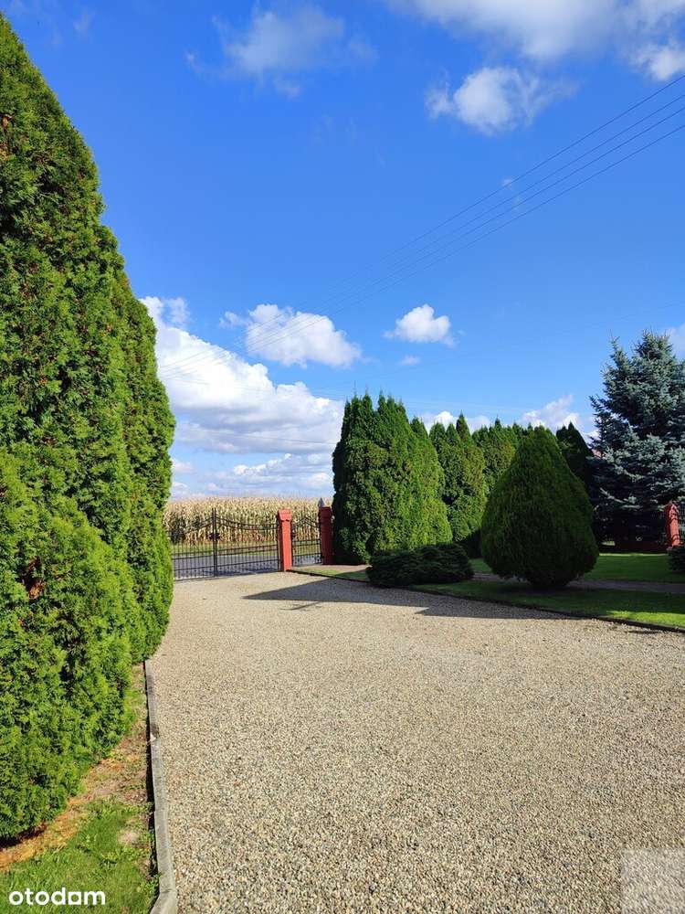 Dom z przestrzenią i klimatem /Trójczyce/ - Pełny obrazek: 5/20