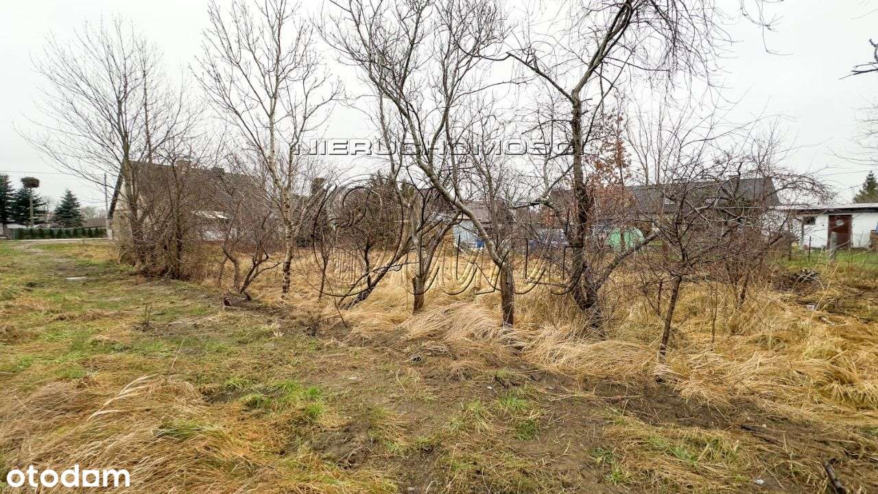 Lędziechowo dom do remontu - Pełny obrazek: 5/11