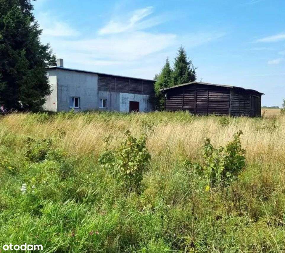 Dom wolnostojący z potencjałem / duża działka - Pełny obrazek: 4/8