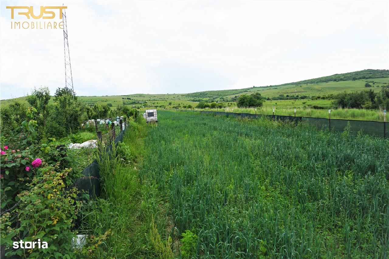 Teren extravilan, zona Zvoaie, dealul Cighirului