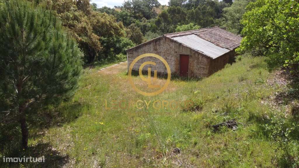 Quinta de 6 hectares perto de São Martinho das Amoreiras-5