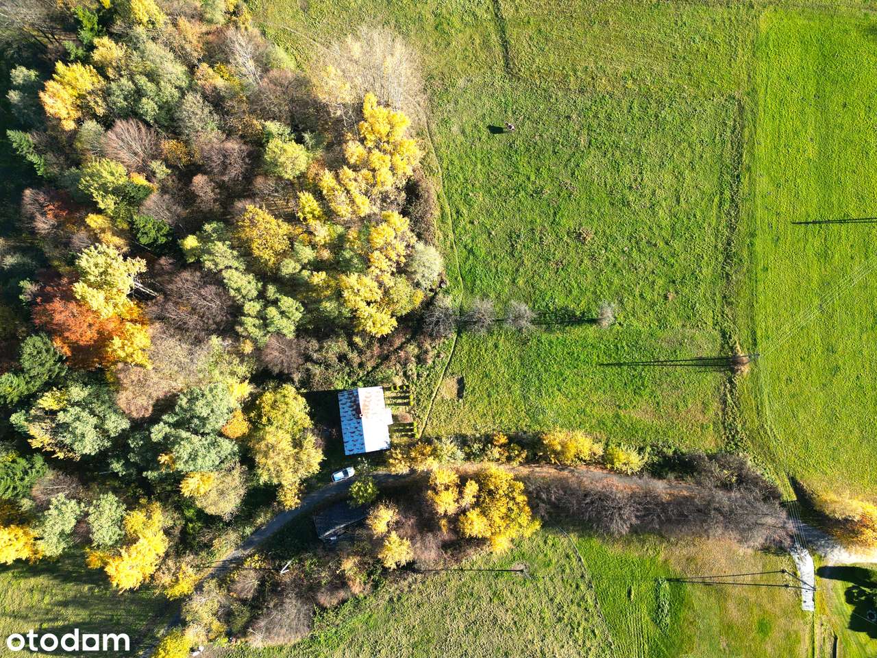 Dom  z potencjałem pod agroturystykę lub prywatny azyl działka 78arów-9