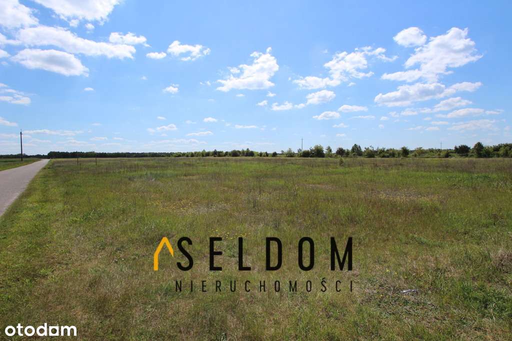 Duża działka z możliwością podziału - Pełny obrazek: 5/7