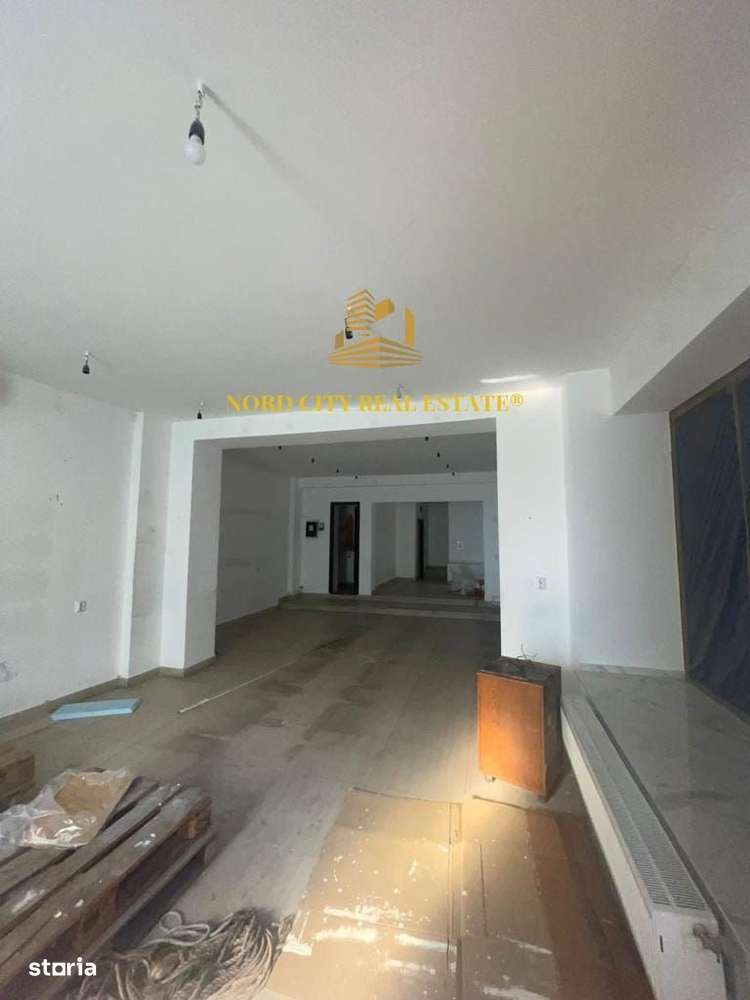 Vanzare Cladire Istorica-Centrul vechi-Unirii-Ultracentral-Investite-11