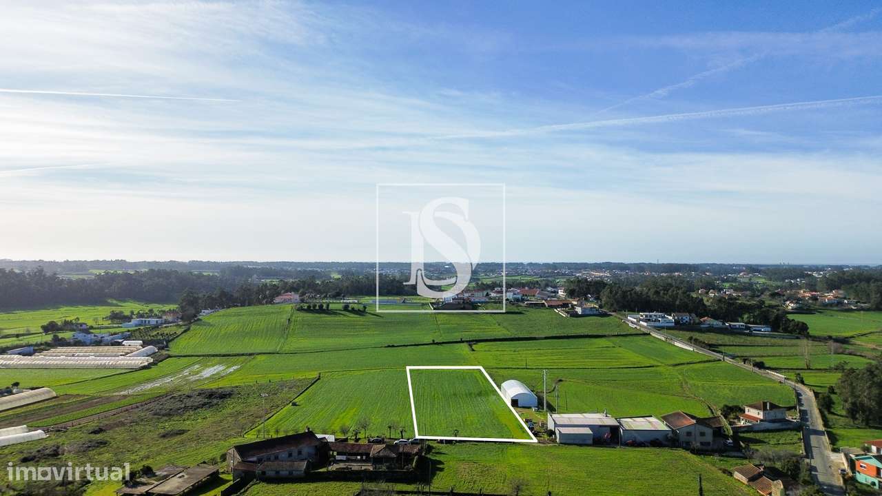 Terreno Agrícola - Grande imagem: 5/21