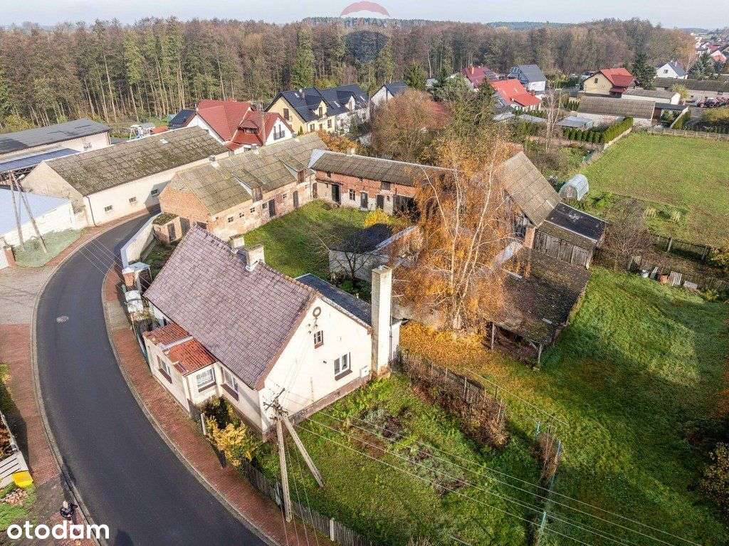 Podrzewie, dom + zabudowania na dużej działce - Pełny obrazek: 4/19