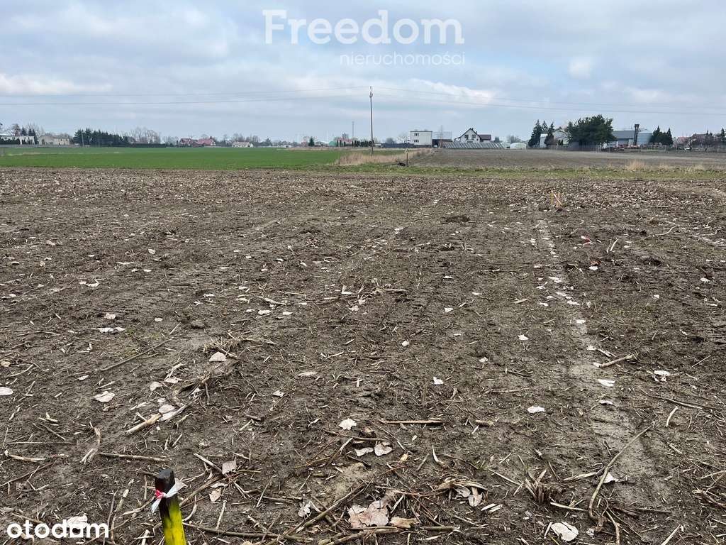 Działka budowlana w Chełmży - Pełny obrazek: 5/13