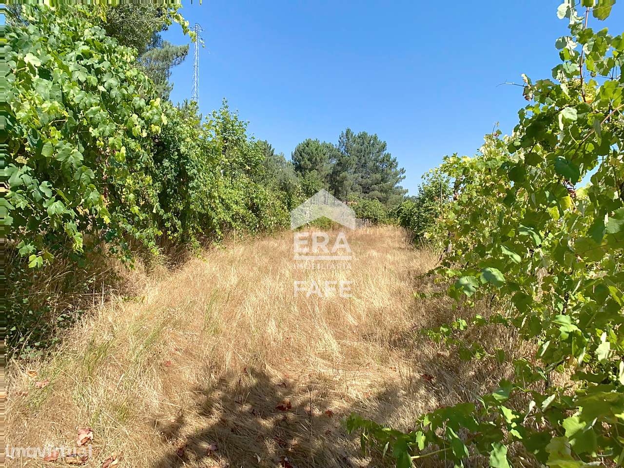 Moradia V4 em Ribas, Celorico de Basto-27