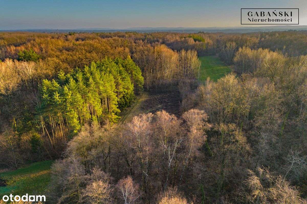 Działka budowlana na sprzedaż - Zaczarnie-1