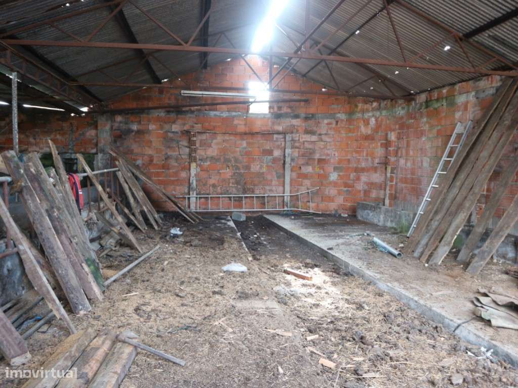 DOIS ARTIGOS - MURTOSA-7