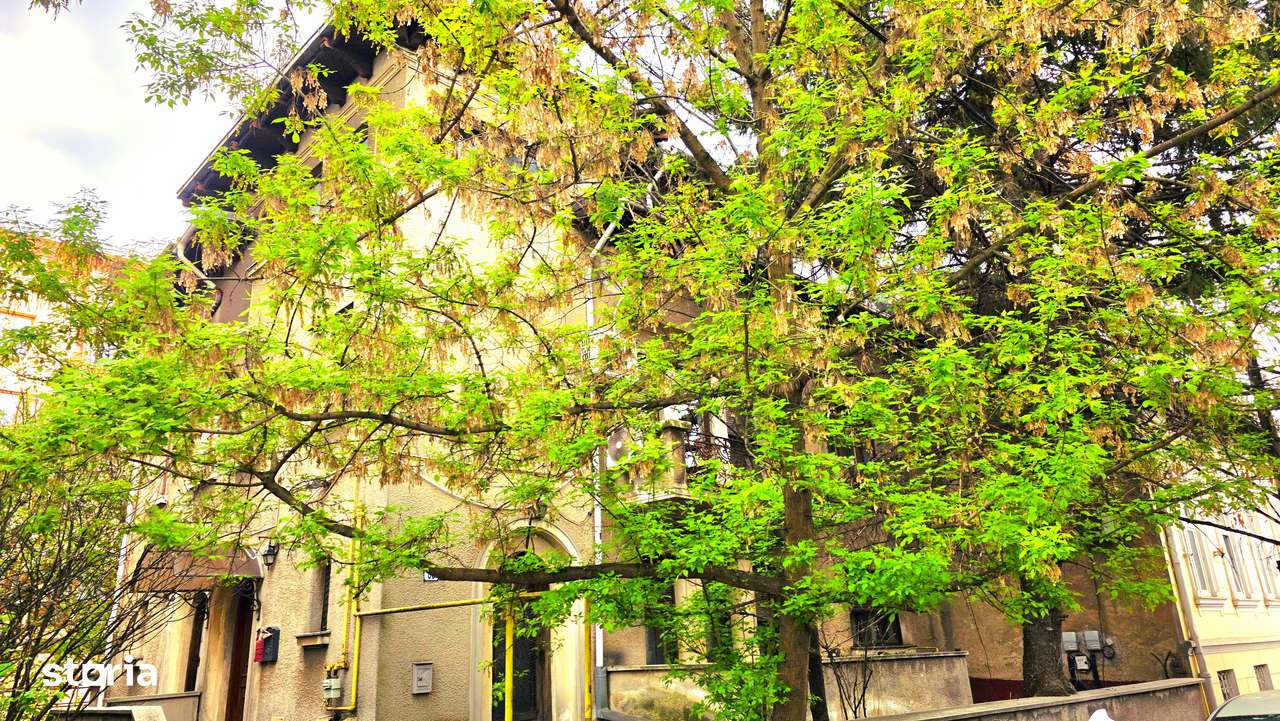 Apartament 3 camere parter in vila plus garsoniera demisol si curte