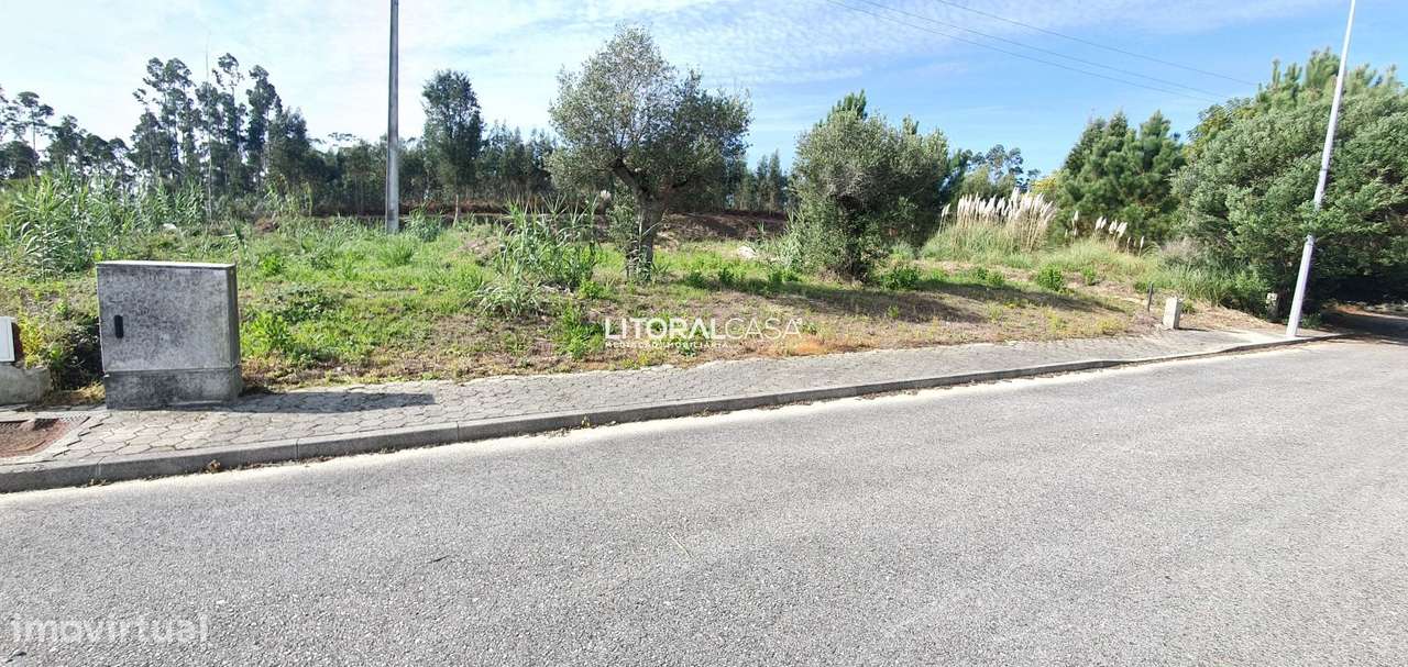 Lote Terreno para Moradia Isolada - Mamodeiro - Grande imagem: 3/12