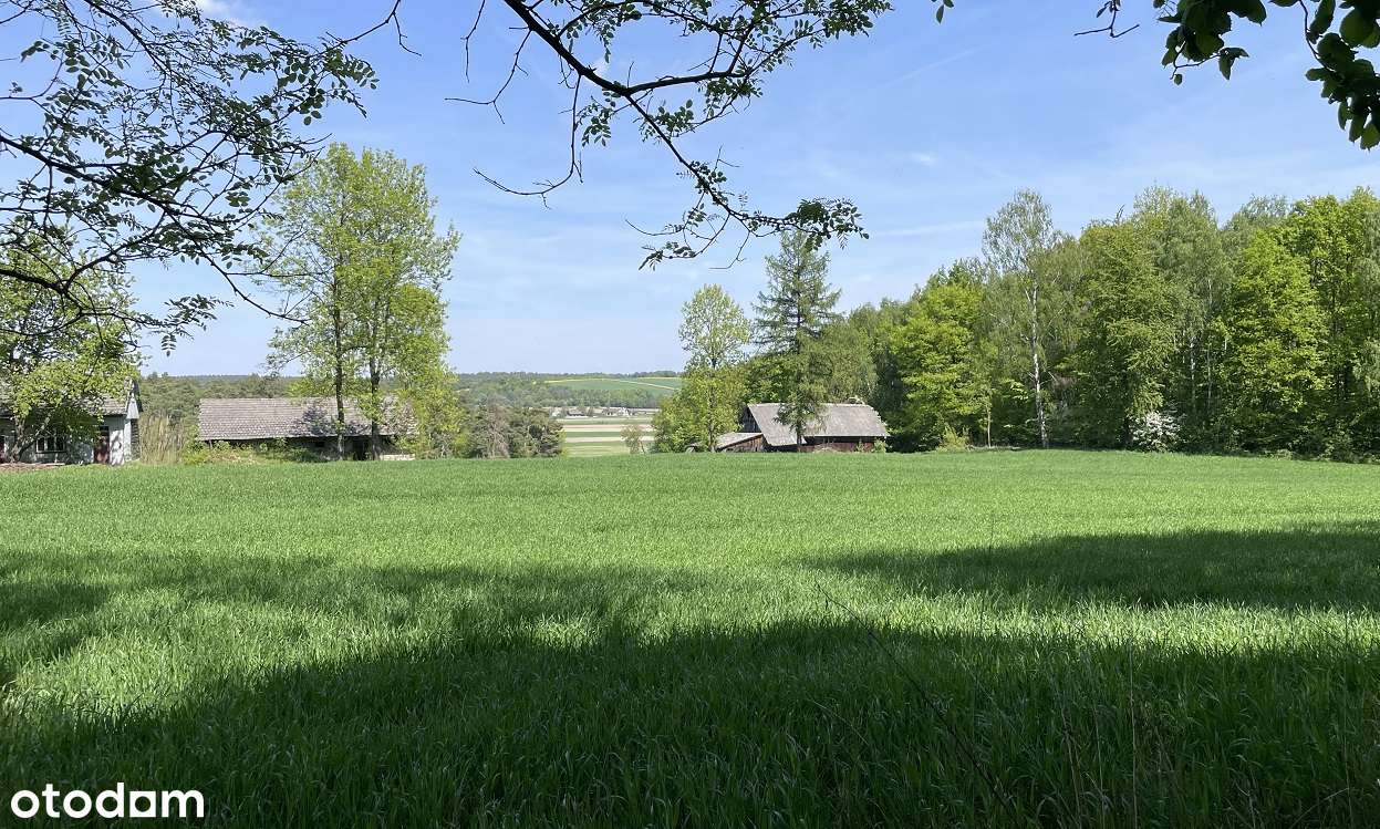 Siedlisko na polanie, pod stadninę lub agroturystykę, 30 min od KRK-9