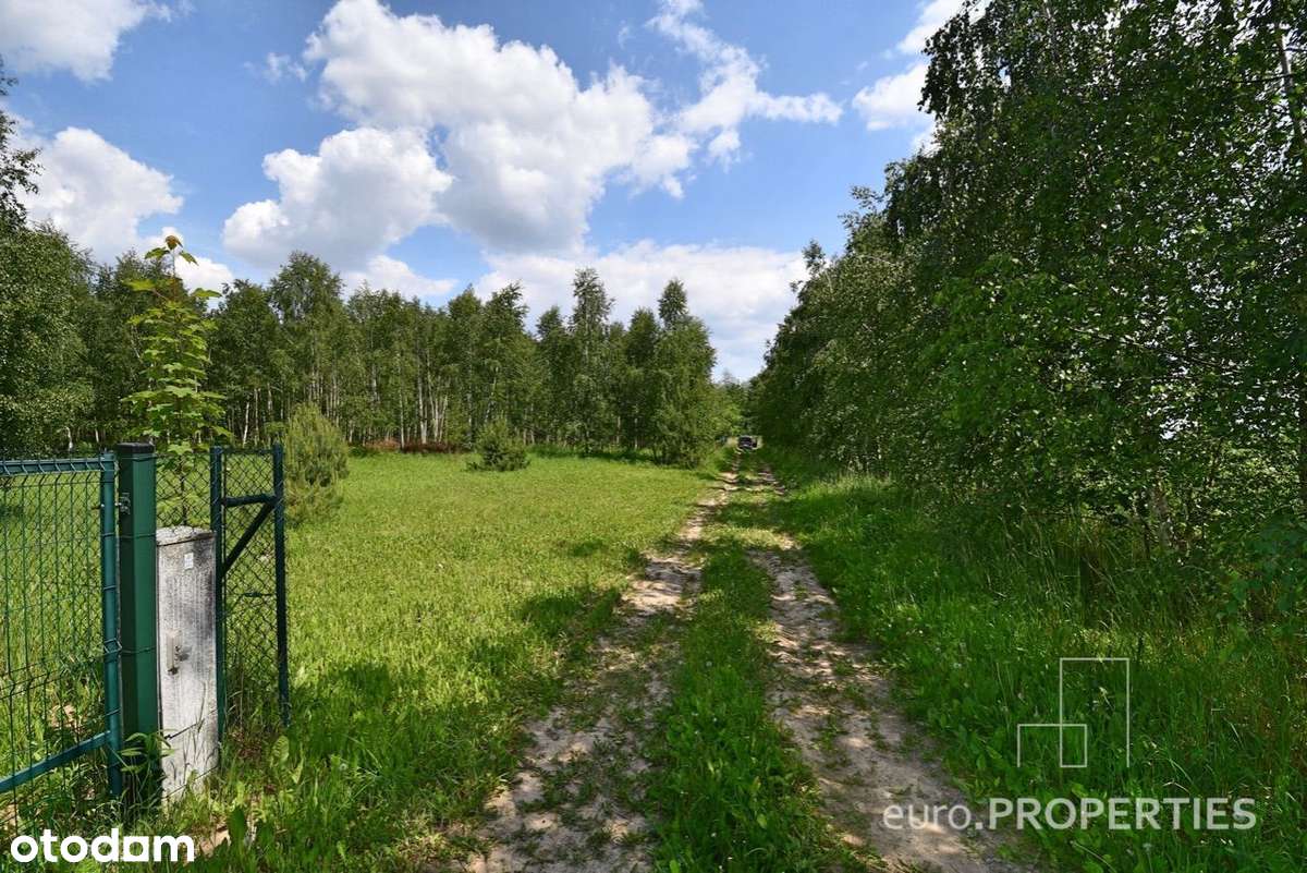 Działka z M.P.Z.P. nad jeziorem :: 197/3.8 - 1197m-8