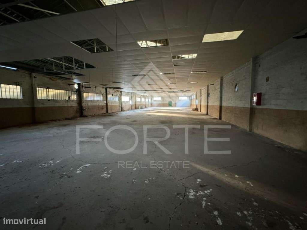 Armazém em São Martinho da Gândara-3