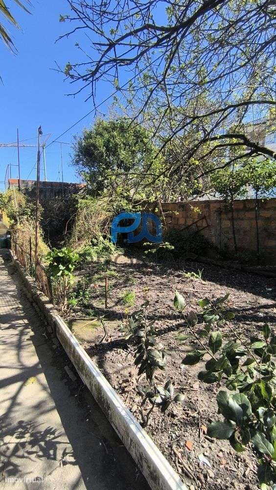 Moradias inseridas em lote urbano de 636 m² | Boavista, Porto-23