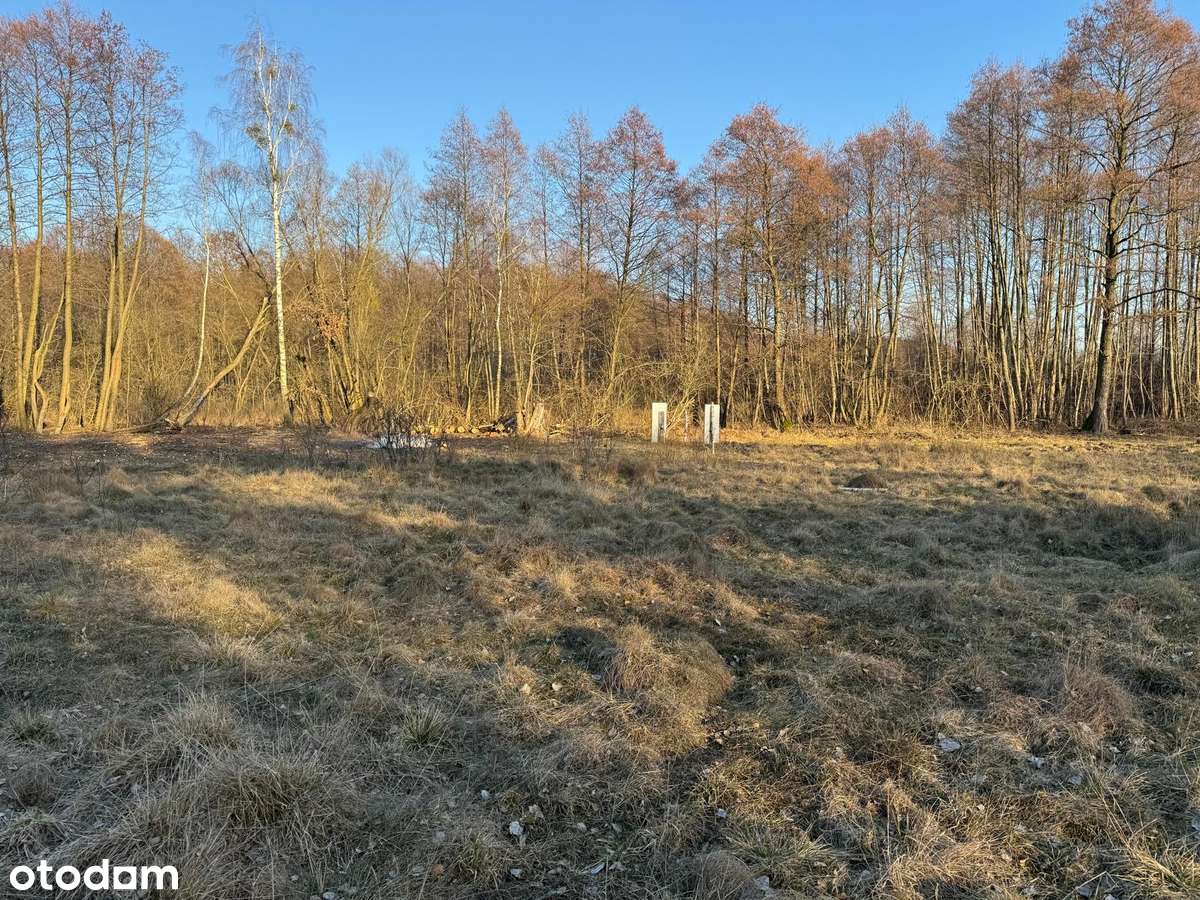 Kuklówka Radziejowicka. Działka budowlana w atrakcyjnej cenie!-5