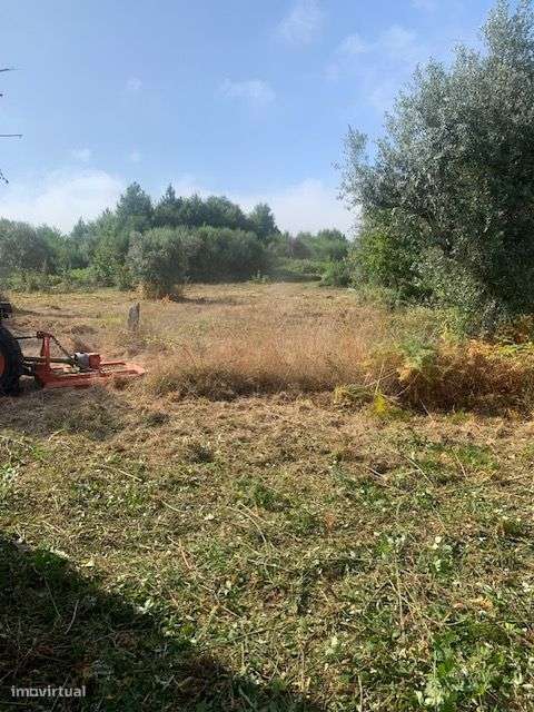 Quinta do Barreiro com 2 Casas para Recuperar-9