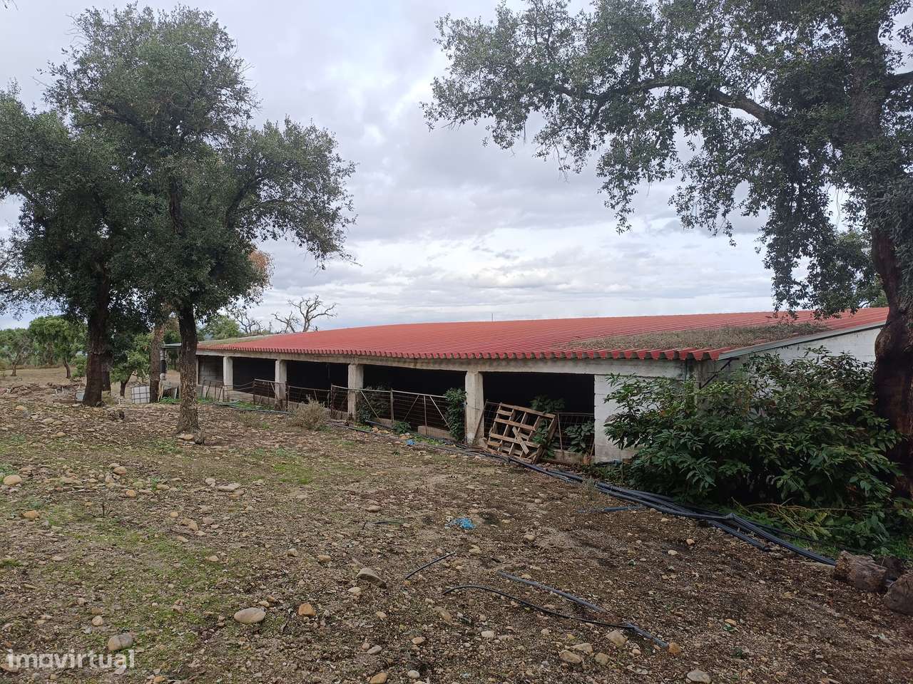 Herdade >=T10 Venda em Bemposta,Abrantes-52