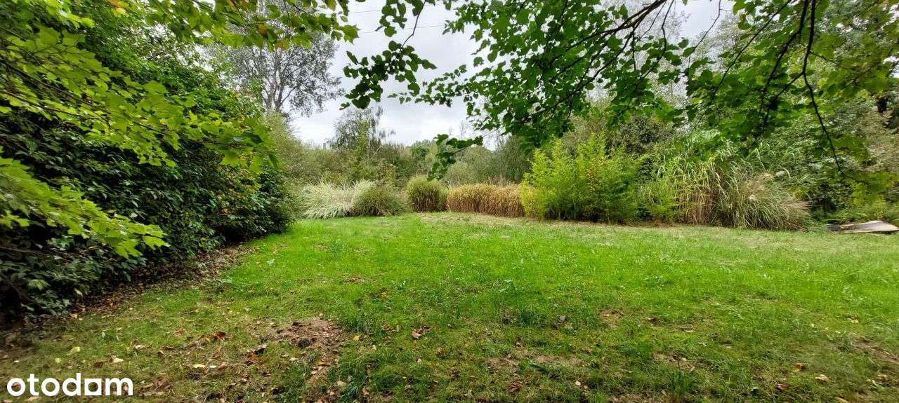 Ranczo Wilkolandia 2 ha zabudowania i staw - Pełny obrazek: 3/14