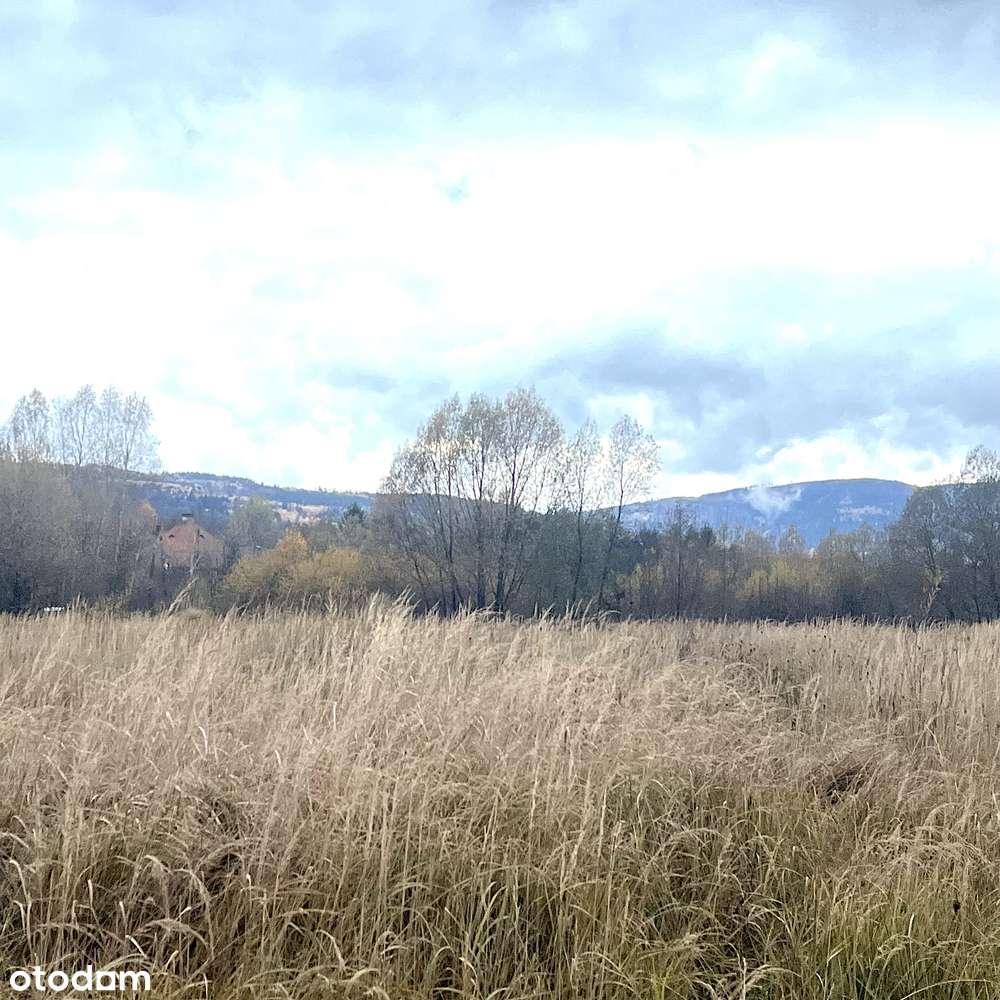 Działka w rejonie górskim blisko Śnieżnika - Pełny obrazek: 2/10