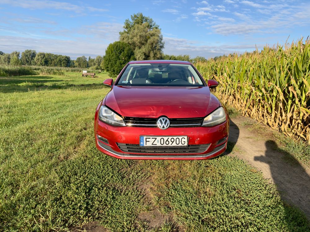 Volkswagen Golf VII (2012-2020) 1.4 TSI BMT Highline 2014