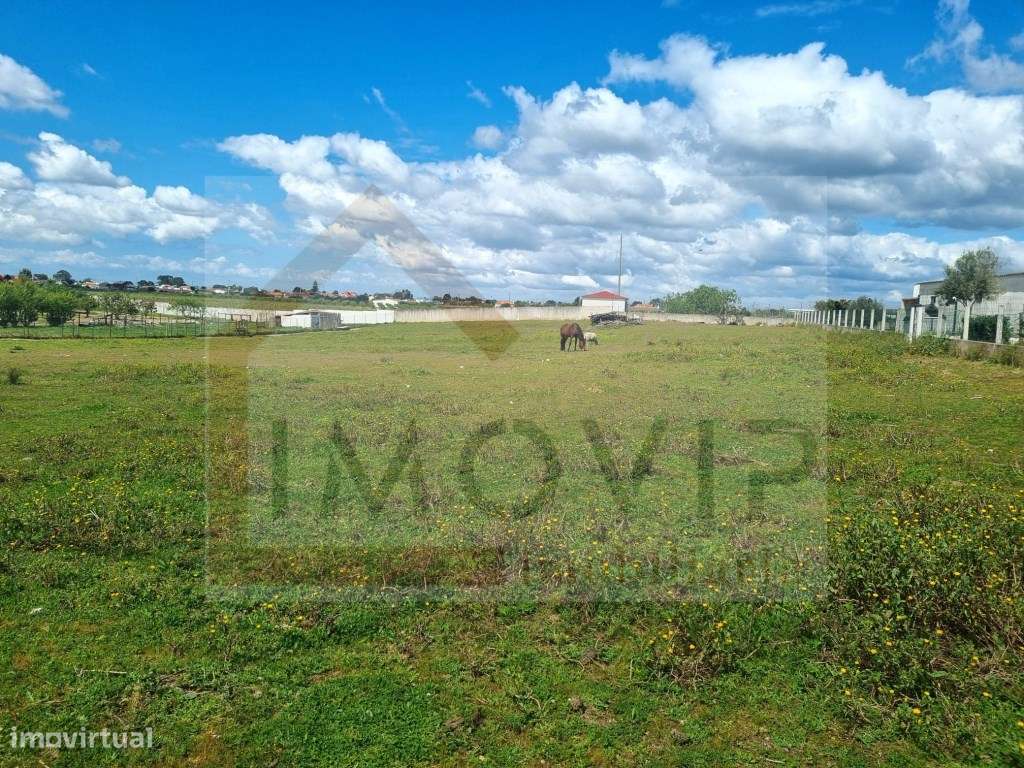 Terreno Urbano 5000m2 - Grande imagem: 4/7