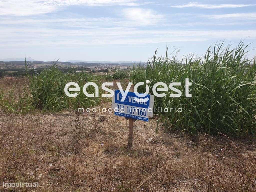 Terreno urbano para construção localizado junto às praias - Grande imagem: 5/8