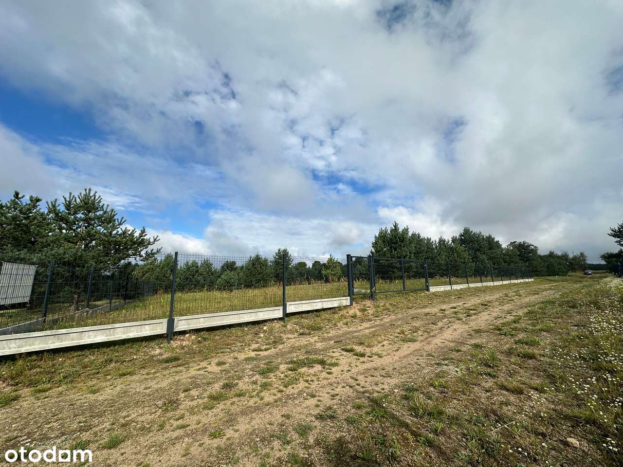 Działka rekreacyjną/budowlana 720 m² jez. Dołgie + prąd + ogrodzenie - Pełny obrazek: 5/10