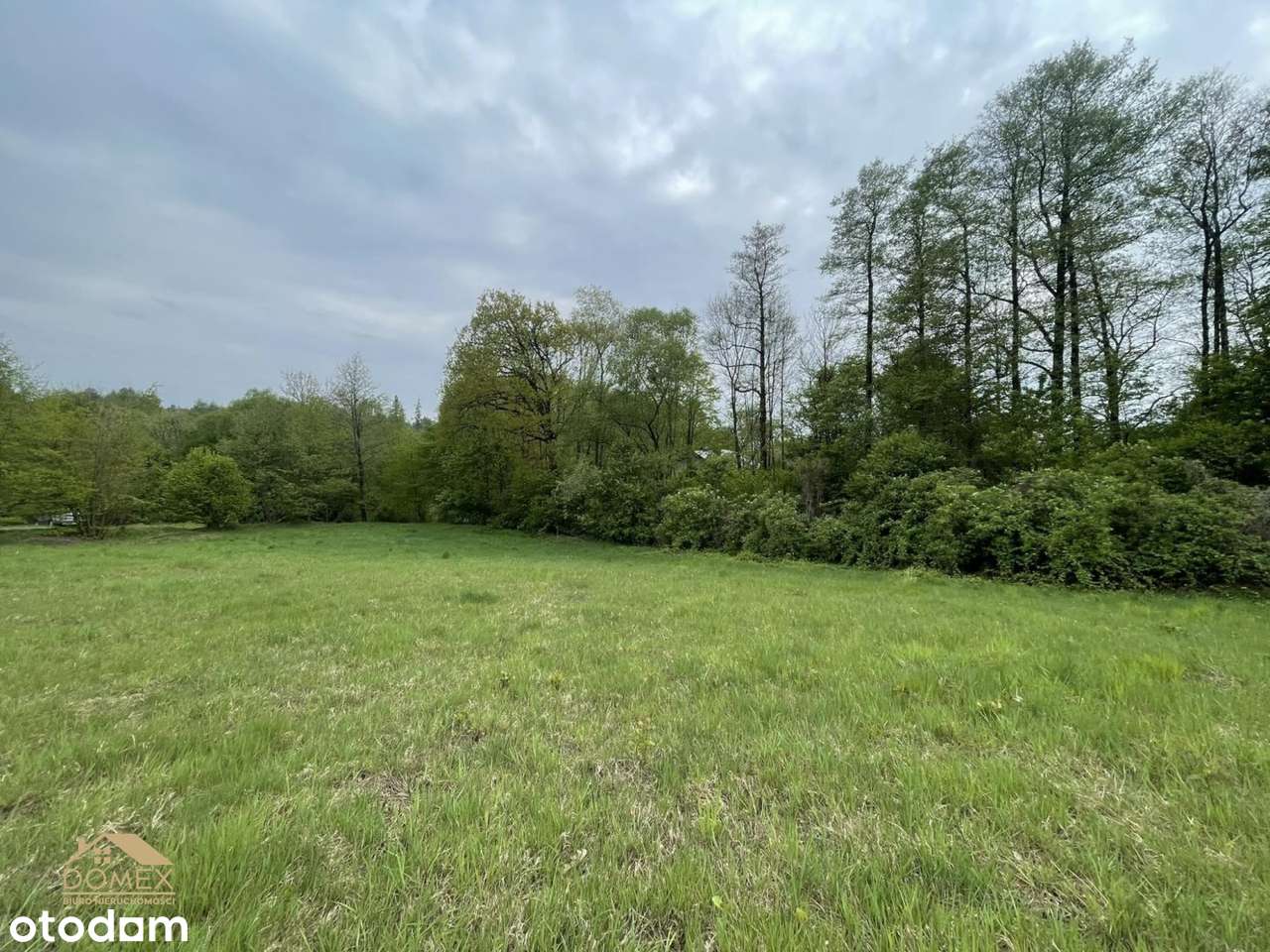 Działka w cichym i spokojnym miejscu Hażlacha - Pełny obrazek: 3/5