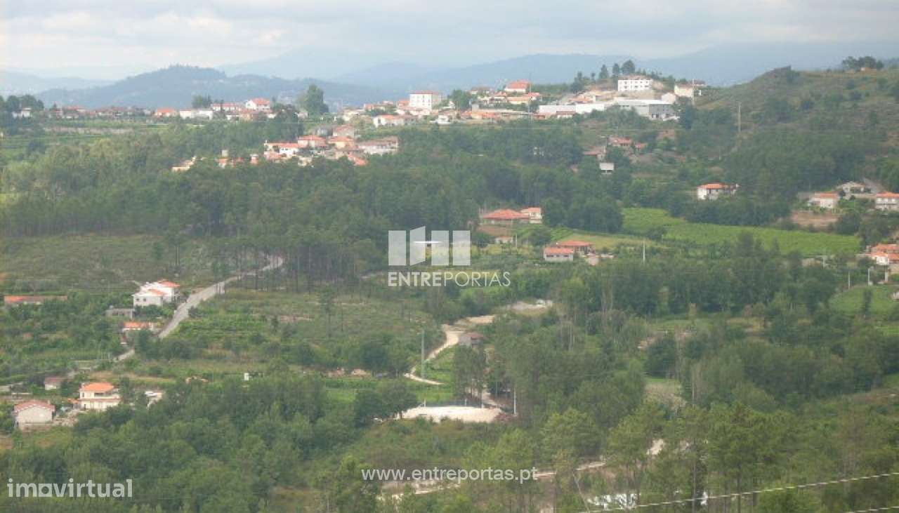 Venda Terreno, Avessadas, Marco de Canaveses - Grande imagem: 5/16