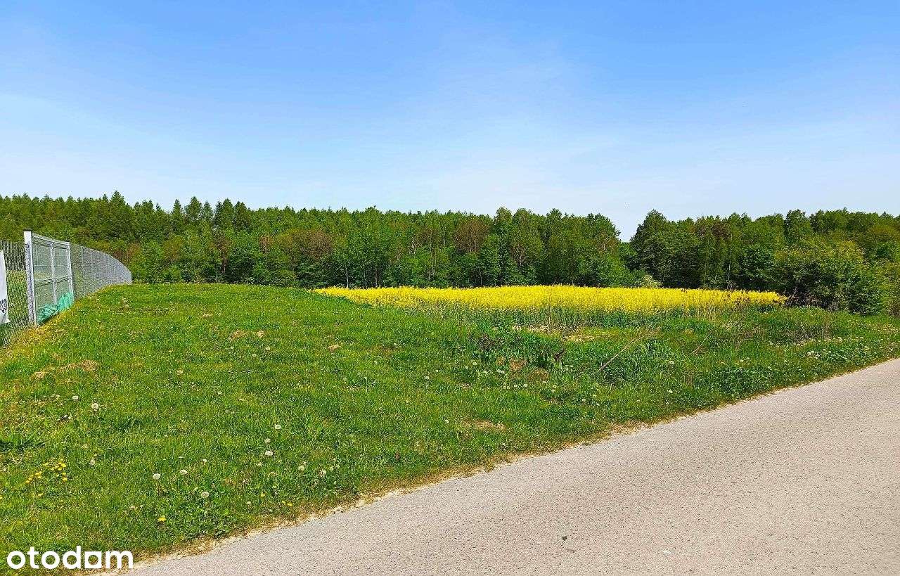 Działki Roztocze. Majdanek, 3 km od Tomaszowa Lub - Pełny obrazek: 4/17