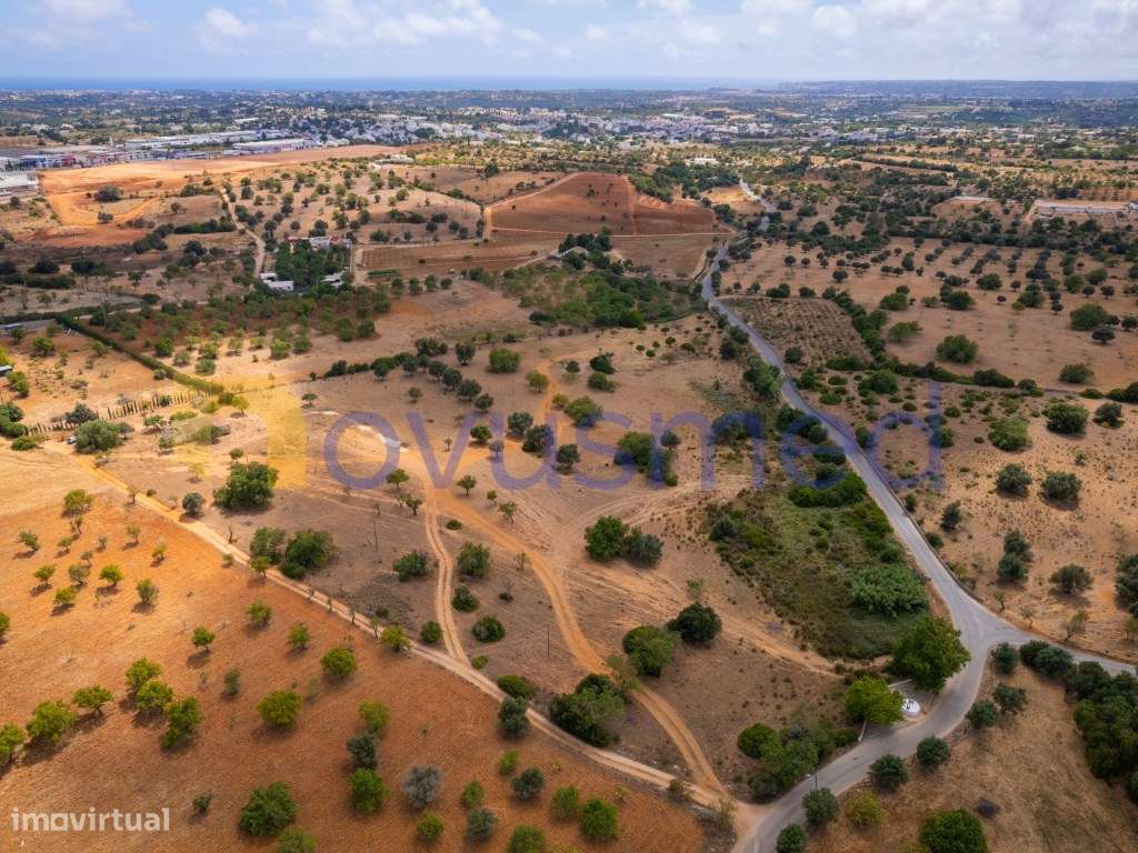 Quinta de 2,1 ha com Potencial para Turismo Rural- Guia Valverde-18