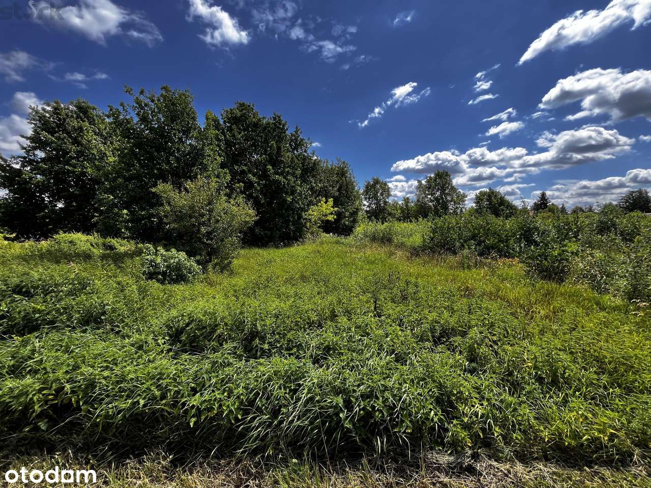 Działka Jaktorów 1720 m2 z warunkami zabudowy-9